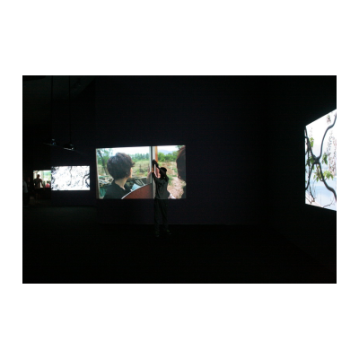 杨福东，《佚名·浅颜色》，14-16屏影像装置|颜色，8-10分钟，2014
