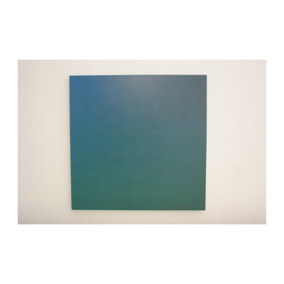 张雪瑞，400格蓝绿，2010